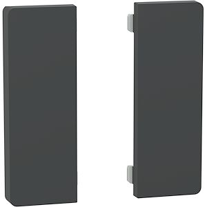 Schneider Electric SpaceLogic KNX - D-Life - Dynamique - 2 touches médiannes - Anthracite  Réf Rexel : BISCHMTN6192-6034    Réf Fab :  MTN6192-6034   EAN13 :   3606482215566