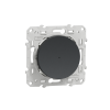 Schneider Electric Wiser Odace - bouton poussoir - 10A - zigbee - anthracite  Réf Rexel : BISCHS540530W   Réf Fab :  S540530W   EAN13 :   3606481019653